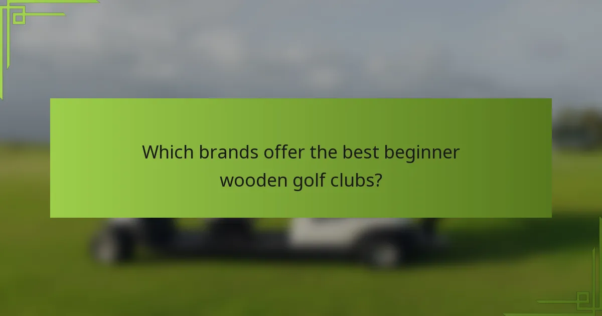 Which brands offer the best beginner wooden golf clubs?