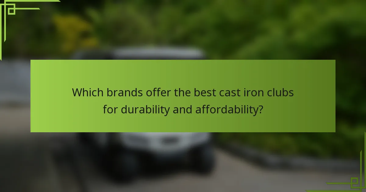 Which brands offer the best cast iron clubs for durability and affordability?