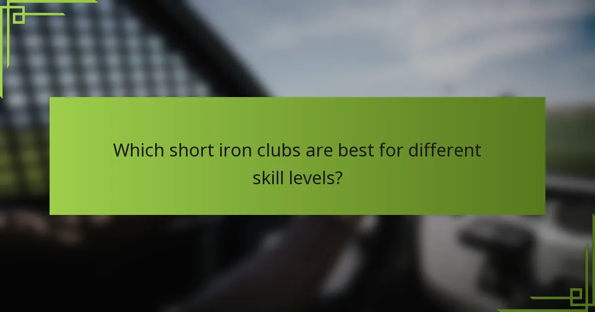Which short iron clubs are best for different skill levels?