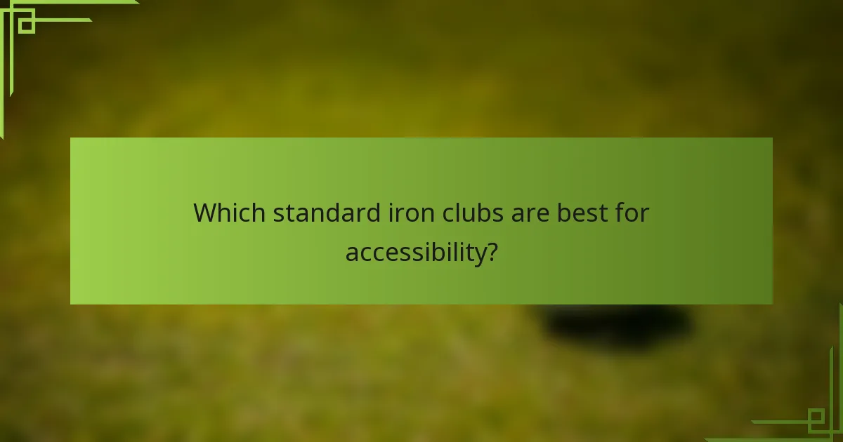 Which standard iron clubs are best for accessibility?